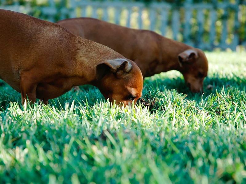 sudoku logical deduction screenshot 3